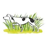 Forthglade discount code